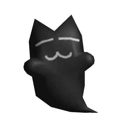 black ghost cat 🐈‍⬛