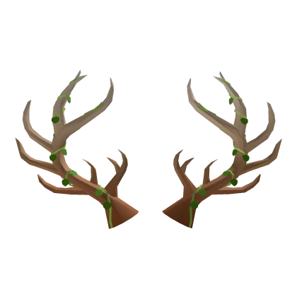 Reindeer Antlers 