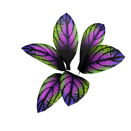 Colorful Coleus