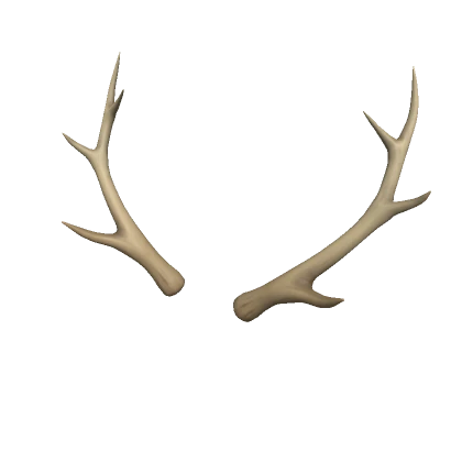 Deer Antlers