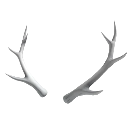 White Deer Antlers