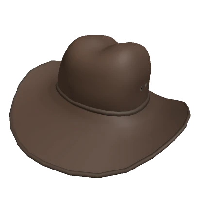 Cowboy Hat