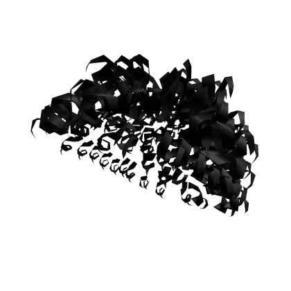 Curly Fro Black [2/2]
