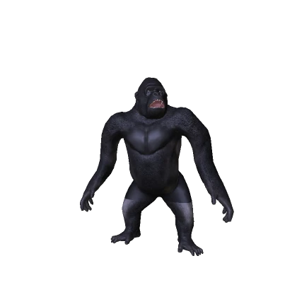 Gorilla