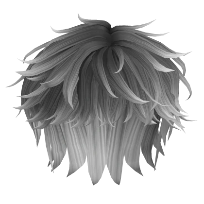 Messy Fluffy Anime Hair in Black&White