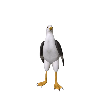 Realistic Seagull