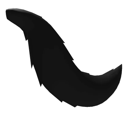 Black fluffy tail