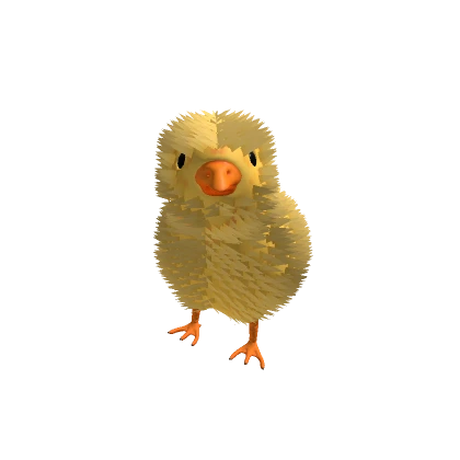 Baby Chicken