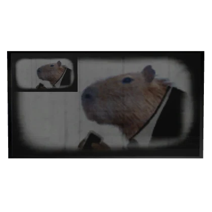 Capybara Movie screen