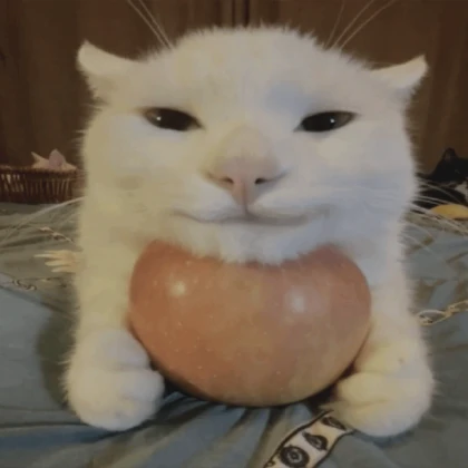 Cat with Apple Meme PFP (profile picture)