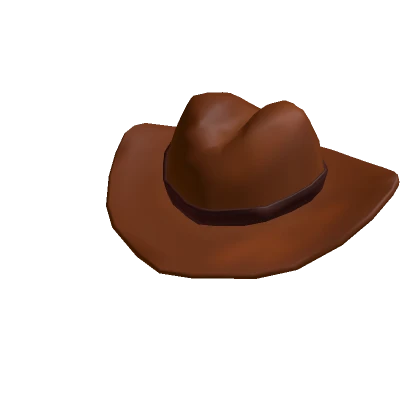 Judgmental Cowboy Hat