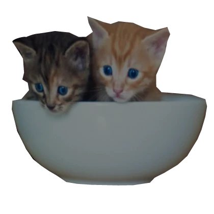 Cute Cat Bowl