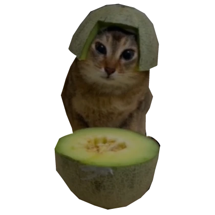 Cute Tole Tole Cat