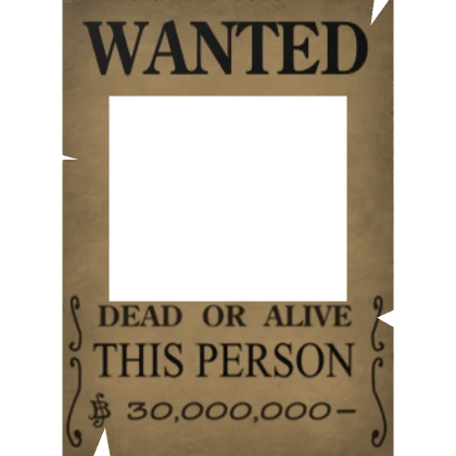 One Piece Wanted Poster