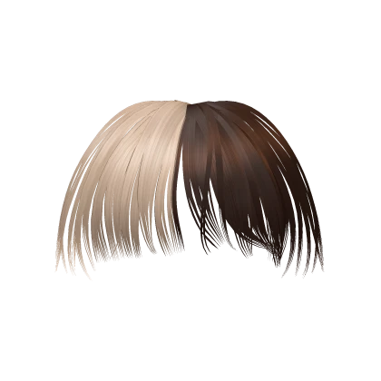 Wispy Bangs in Blonde/Brown