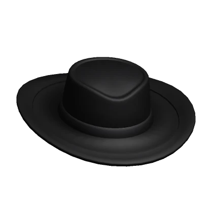 Black Wide Brim Hat