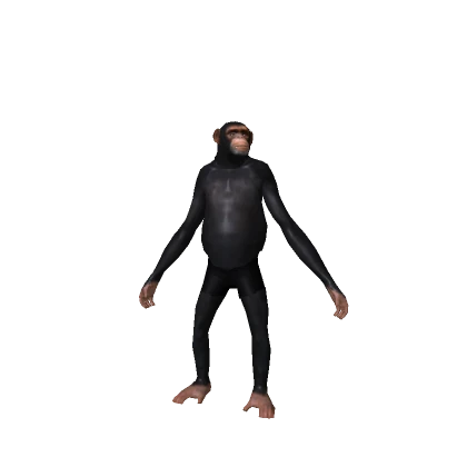 Monkey