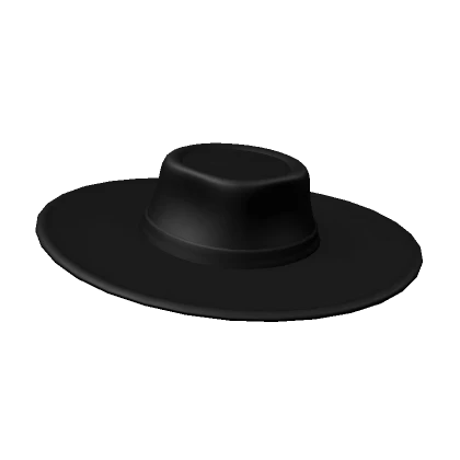 Black Wide Brim Hat