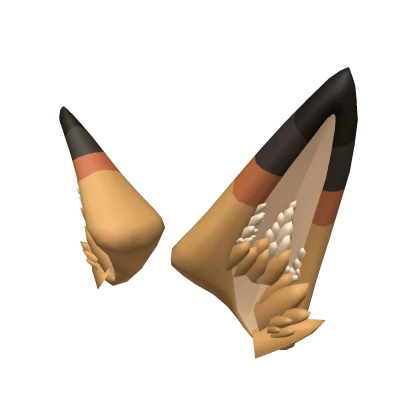 Southern Coyote Ears