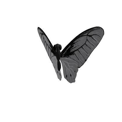 Butterfly (Recolorable)