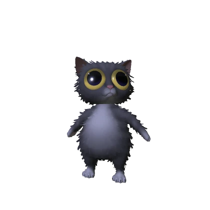 Fluffly Grey Babby Cat