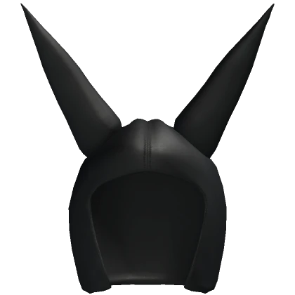 Leather Dunce Cap