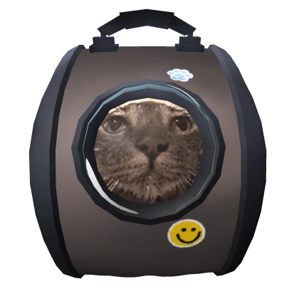 Cat 🎒