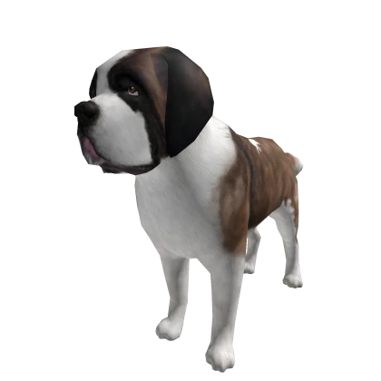 Dog Saint Bernard