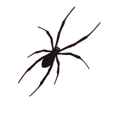 Red and Black Spider