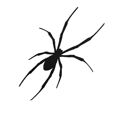 Black Spider