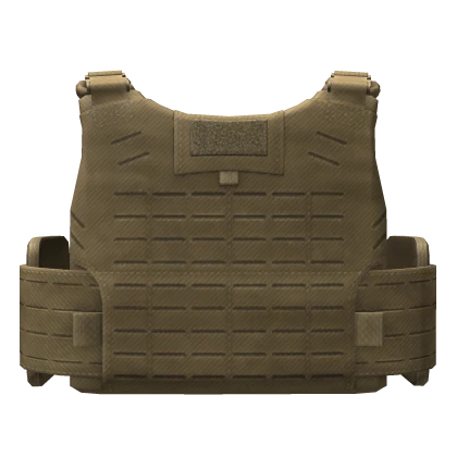Tan MSV Gen II Plate Carrier