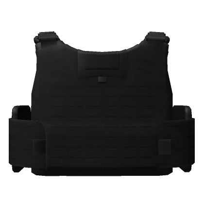 Tactical MSV Gen II Plate Carrier 