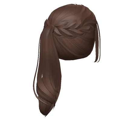 Soft Flowy Braided Ponytail (Brown)