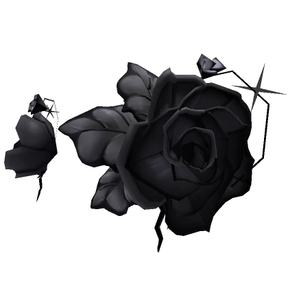 Asymmetrical Black Roses