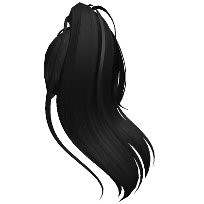 Long silky black ponytail