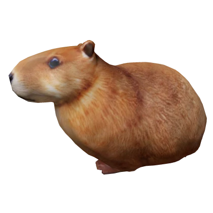 🐹 Capybara Mount 🐹