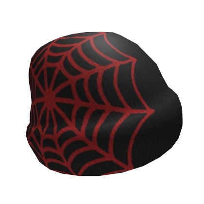 Spider Web Beanie