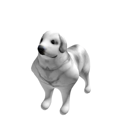 Dog Suit
