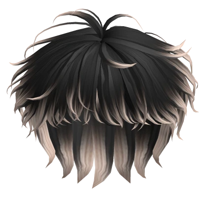 Long Anime Hair in Black&Blonde