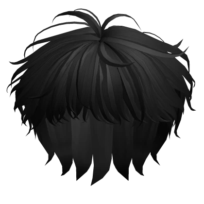 Long Anime Hair in Black