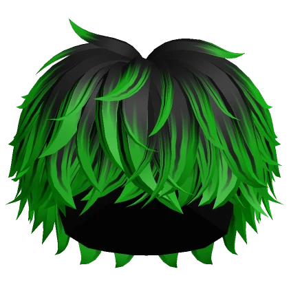 Fluffy Messy Cool Boy Hair (Black to Green)