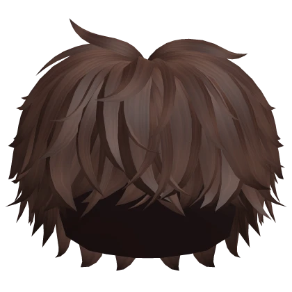 Fluffy Messy Cool Boy Hair (Brown)