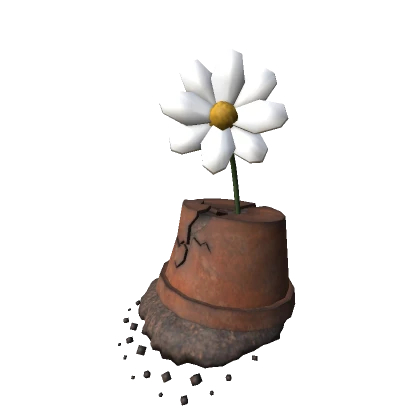 Broken Flower Pot