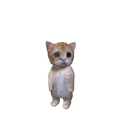 Mini El Gato Cat