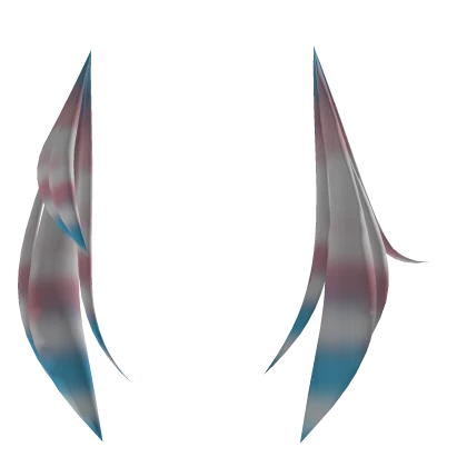 Asymmetrical trans raccoon tails