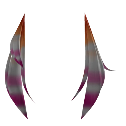 Asymmetrical lesbian raccoon tails