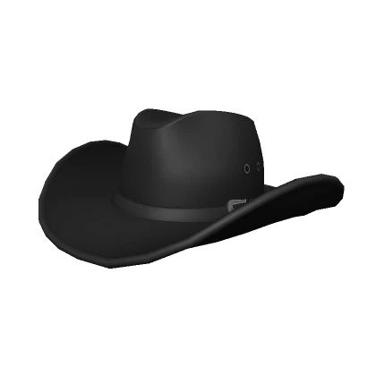 Large Cowboy Hat