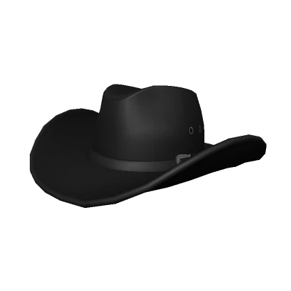 Large Cowboy Hat