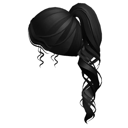 Curly Black Ponytail