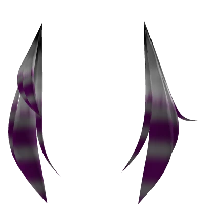 Asymmetrical ace raccoon tails